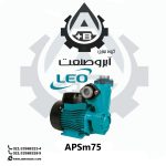 الکتروپمپ ۱اسب لئو مدل APSm75